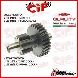 DUPLO GEAR PIAGGIO BRAVO CON VARIATORE