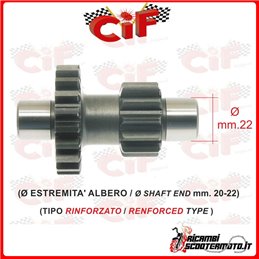 DUPLO GEAR PIAGGIO APE TM P602 220 (1982-1983)