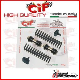 FORK OVERHAUL KIT PIAGGIO CIAO