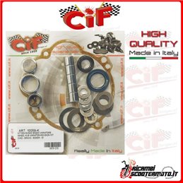REAR HUB OVERHAUL KIT PIAGGIO SI