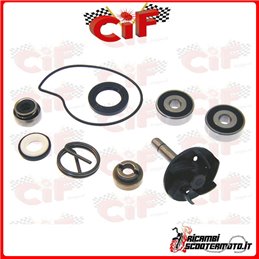 WATER PUMP OVERHAUL KIT PIAGGIO BEVERLY 250 (2005)