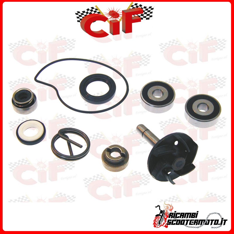 WATER PUMP OVERHAUL KIT PIAGGIO BEVERLY 250 (2005) WATER PUMP OVERHAUL KIT PIAGGIO BEVERLY 250 (2005)