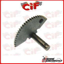 START-UP SECTOR ITALJET Torpedo 125/150 LEADER 4T AC 