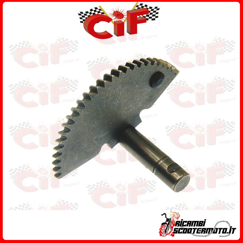 START-UP SECTOR ITALJET Torpedo 125/150 LEADER 4T AC 