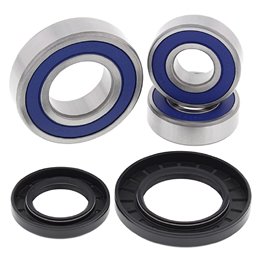 KIT DE ROULEMENT DE ROUE ARRIÈRE All Balls Suzuki DL 1000 V-Strom 2002-2012