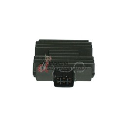 VOLTAGE REGULATOR MALAGUTI Password / Password E3 250 2005-2006