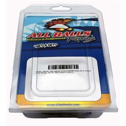 KIT REVISIONE PINZA FRENO ANTERIORE ALL BALLS HONDA CT125 ABS 2021-2022