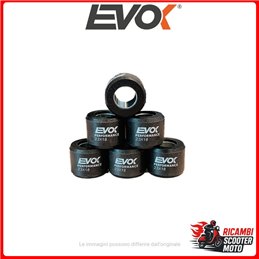 Rollensatz Evok Iron Drive 21x17mm 13gr HONDA FES 125 PANTHEON 125 1998-2002