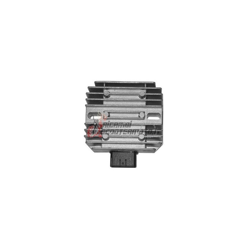 VOLTAGE REGULATOR MALAGUTI Password / Password E3 250 2005-2006 VOLTAGE REGULATOR MALAGUTI Password / Password E3 250 2005-2006