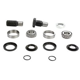 PIVOT WORKS SWINGARM KIT Suzuki LT-V 700 F Twin Peaks 4x4 2004-2006