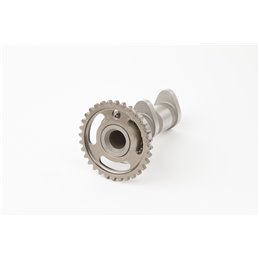 ÁRBOL DE LEVAS HOT CAMS Suzuki RM 450 Z 2005-2006