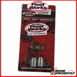 KIT DE BRAZO OSCILANTE PIVOT WORKS Kawasaki KDX 200 1986-1994