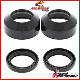 KIT PARAOLI E PARAPOLVERE FORCELLA ALL BALLS YAMAHA XS 1100 1981