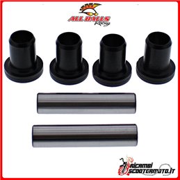 UNABHÄNGIGES AUFHÄNGUNGSSATZ (2 KITS PRO FAHRZEUG ERFORDERLICH) All Balls Arctic Cat 250 2x4 1999-2005