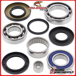 REAR DIFFERENTIAL BEARING AND OIL SEALS KIT All Balls Suzuki LT-F 250 Ozark 2x4 2002-2009
