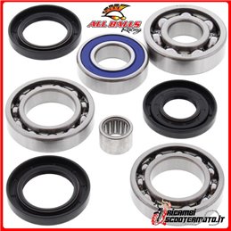 KIT DE COJINETES Y RETENES DE ACEITE DEL DIFERENCIAL TRASERO All Balls Arctic Cat 375 2x4 w/AT 2002