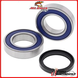 RADLAGERSATZ HINTERRAD All Balls Arctic Cat 250 2x4 2006-2009