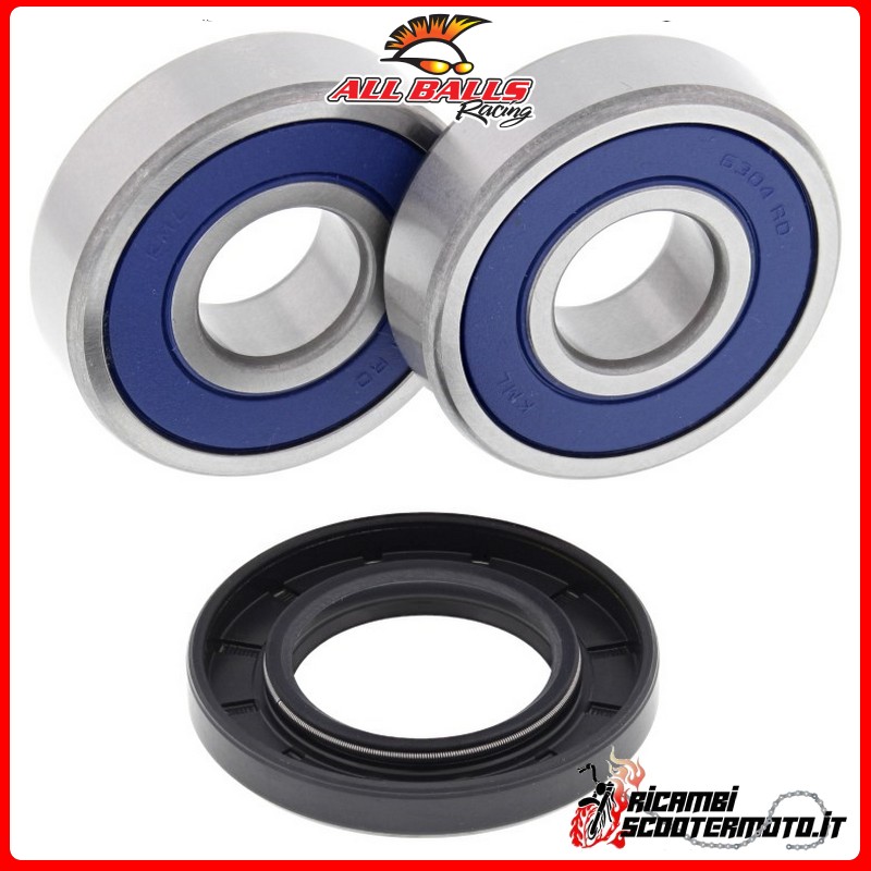RADLAGERSATZ HINTERRAD All Balls Indian SCOUT 2015-2022