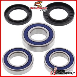 KIT DE COJINETE DE RUEDA TRASERA All Balls Suzuki GSX-R 1300 R Hayabusa 1999-2007