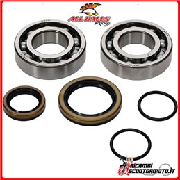 CRANKSHAFT BEARING KIT All Balls Beta Motor RR 250 2T 2013-2021