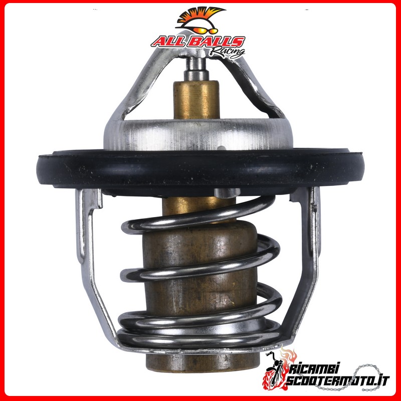 Alle Bälle THERMOSTAT Polaris Sportsman 550 2011-2013