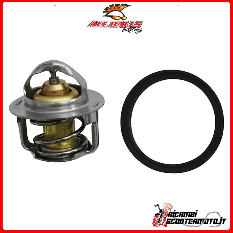 Thermostat pour toutes les boules Polaris 450 HO 2x4 MD 2016