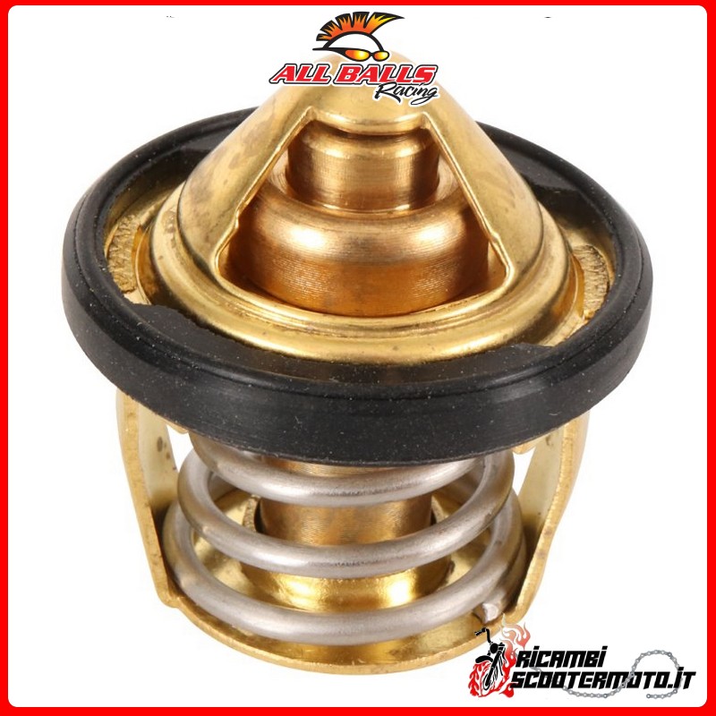 Thermostat pour toutes les boules Polaris Xpedition 325 2000