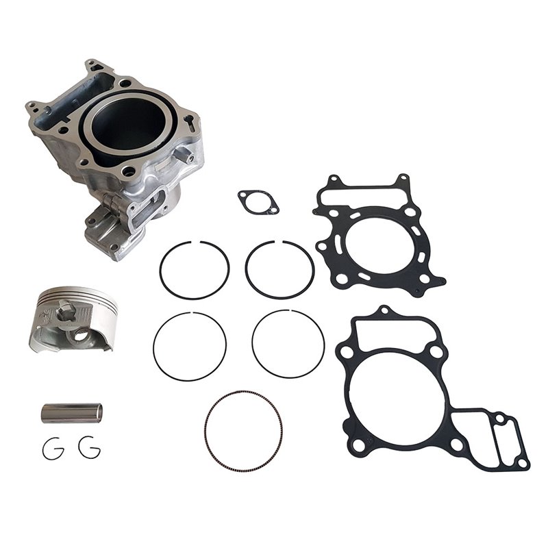 THERMISCHE GRUPPE ORIGINALTYP AUS GUSSEISEN HONDA NSS 300 A Forza ABS 300 2013-2020