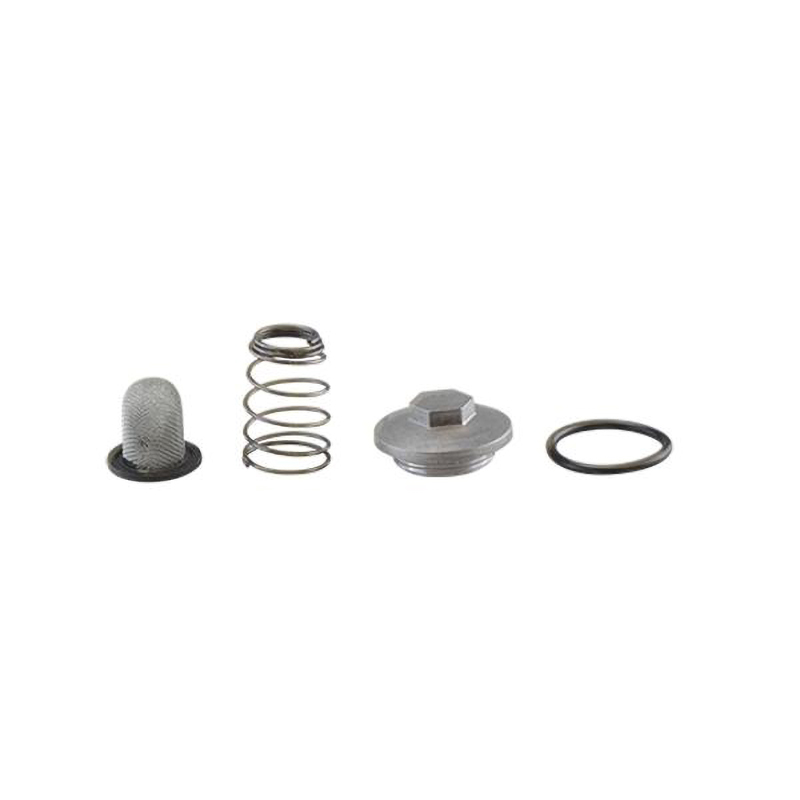 HOKIO COMPLETE OIL FILTER NET KYMCO DINK 50 4T 50 2007 HOKIO COMPLETE OIL FILTER NET KYMCO DINK 50 4T 50 2007