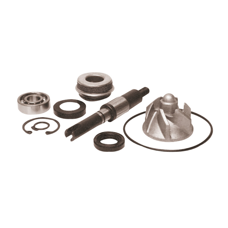 BCR Water Pump Overhaul Kit HONDA FES 125 A S-Wing ABS 125 2007-2012 BCR Water Pump Overhaul Kit HONDA FES 125 A S-Wing ABS 125 2007-2012