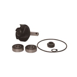BCR Water Pump Overhaul Kit MALAGUTI F12 LC RESTYLING EURO 2 50 2006