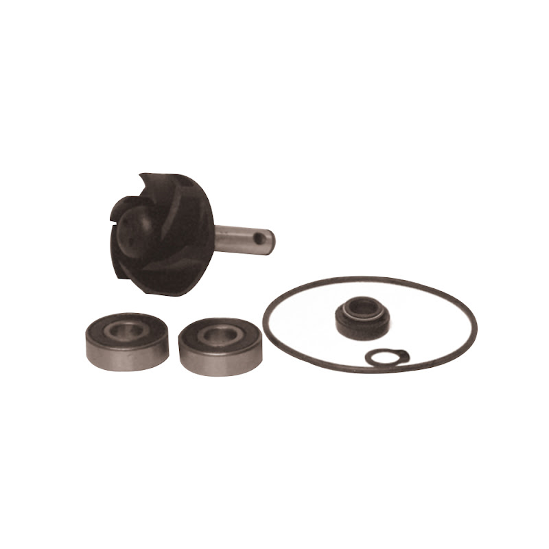 BCR Water Pump Overhaul Kit MALAGUTI F12 LC RESTYLING EURO 2 50 2006 BCR Water Pump Overhaul Kit MALAGUTI F12 LC RESTYLING EURO 2 50 2006