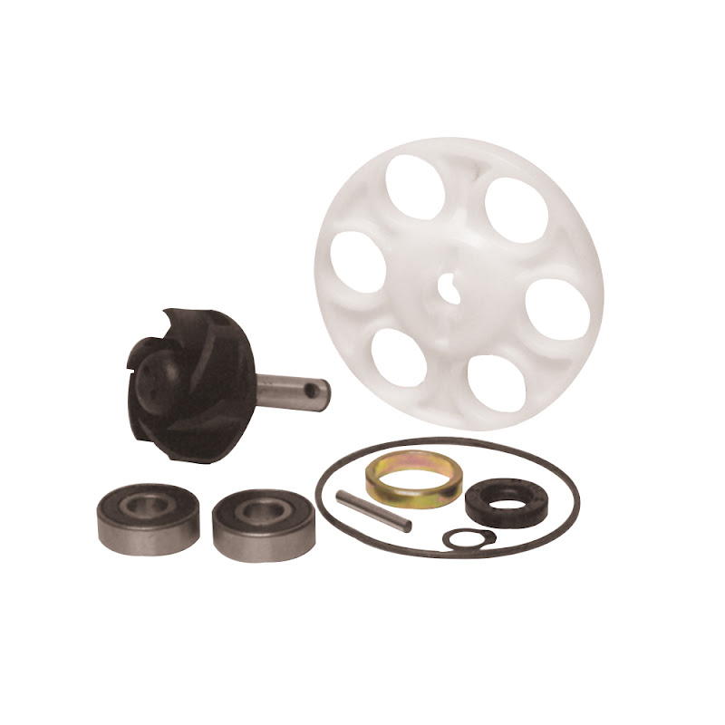 BCR Water Pump Overhaul Kit MALAGUTI F12 LC RESTYLING EURO 2 50 2006 BCR Water Pump Overhaul Kit MALAGUTI F12 LC RESTYLING EURO 2 50 2006
