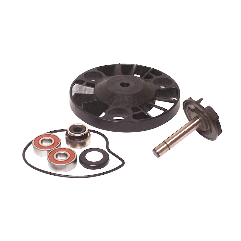 BCR Water Pump Overhaul Kit PIAGGIO BEVERLY 125 2001-2003 BCR Water Pump Overhaul Kit PIAGGIO BEVERLY 125 2001-2003