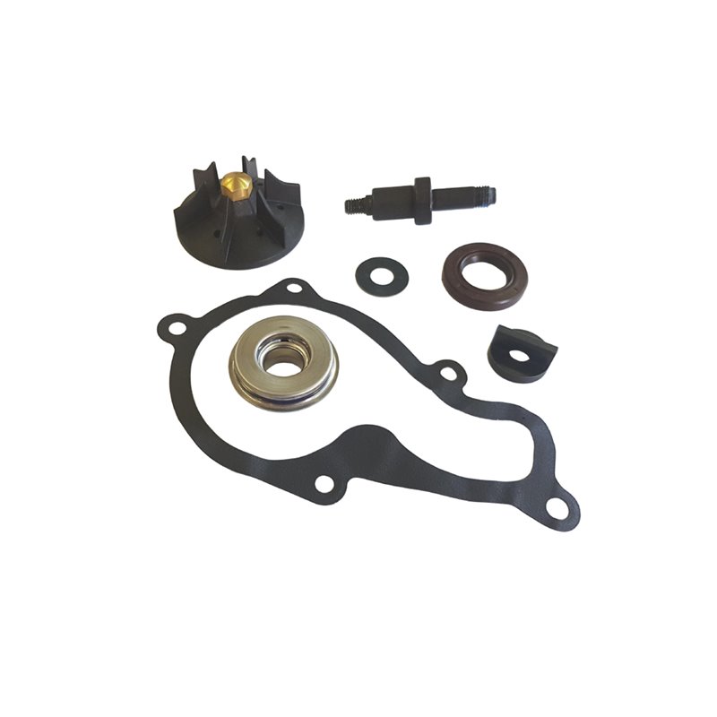 BCR Water Pump Overhaul Kit PIAGGIO BEVERLY 4T ST IE ABS 350 2016-2020 BCR Water Pump Overhaul Kit PIAGGIO BEVERLY 4T ST IE ABS 350 2016-2020