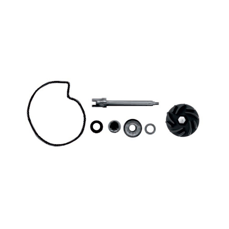 BCR Water Pump Overhaul Kit PIAGGIO BEVERLY 500 2002-2006 BCR Water Pump Overhaul Kit PIAGGIO BEVERLY 500 2002-2006