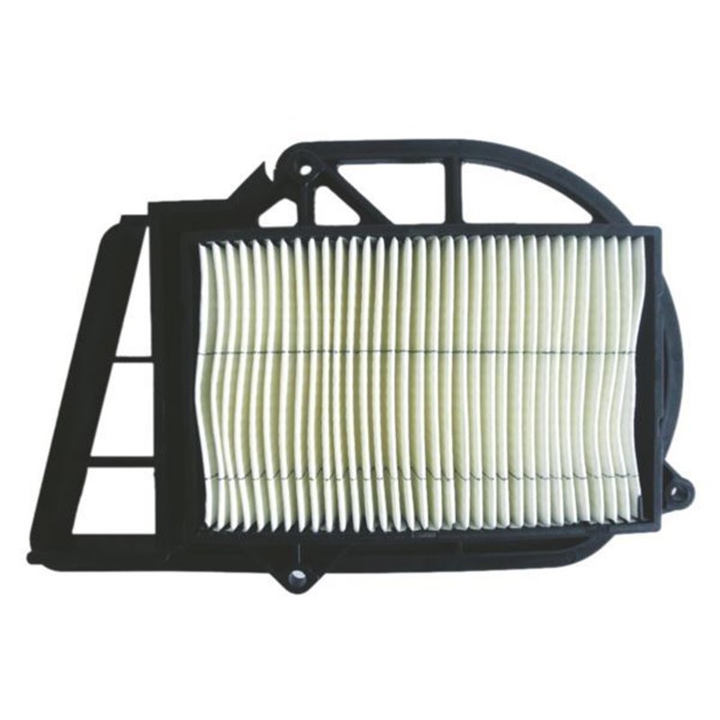 VARIATOR-LUFTFILTER MALAGUTI PASSWORD / I.E. 250 2005-2011
