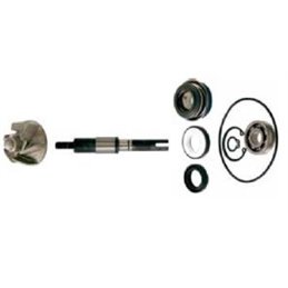 WATER PUMP OVERHAUL KIT HONDA FES 125 A S-WING ABS 125 2007-2013