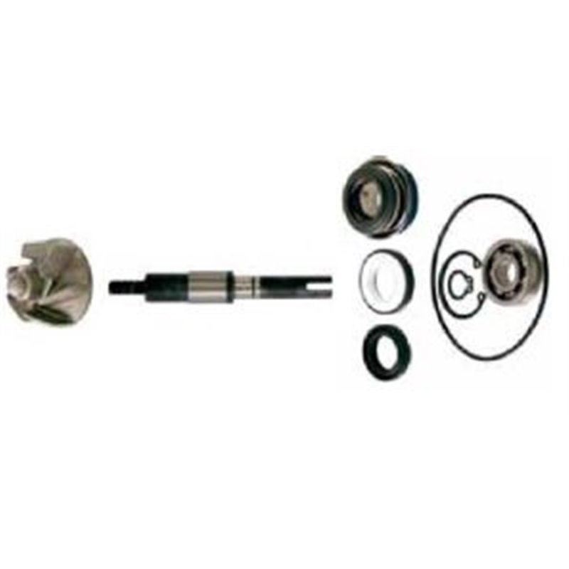 WATER PUMP OVERHAUL KIT HONDA FES 125 A S-WING ABS 125 2007-2013