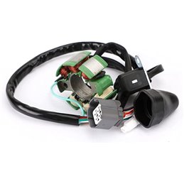 ESTATOR KAWASAKI KX 250 F 250 2005-2010