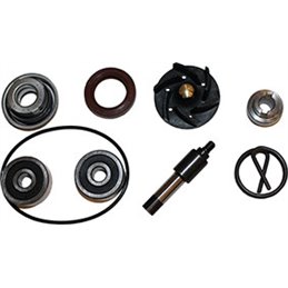 KIT DE REVISIÓN DE LA BOMBA DE AGUA DERBI GP1 250 2006-2007