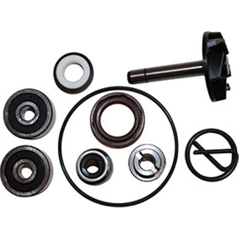 KIT DE RÉVISION DE POMPE À EAU APRILIA SCARABEO 250 2004-2006