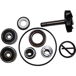 WATER PUMP OVERHAUL KIT PIAGGIO X9 250 EVOLUTION 2004