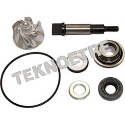 WATER PUMP OVERHAUL KIT HONDA NSS FORZA 300 13