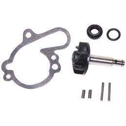WATER PUMP OVERHAUL KIT APRILIA TUONO 50 2003-2004