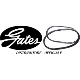 COURROIE D'ENTRAÎNEMENT DAELIM TAPO 50 1999-2000
