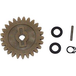 WATER PUMP GEAR APRILIA LEONARDO 250 2000