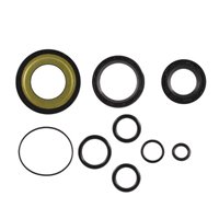 Paraoli Motore