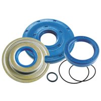 Paraoli Motore