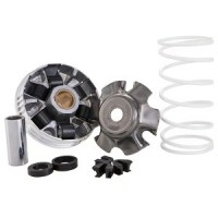 Variator